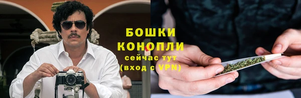 прущие грибы Абаза