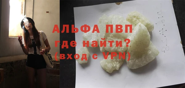 прущие грибы Абаза