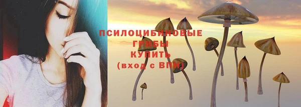 Альфа ПВП Приозерск