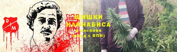 spice Лагань