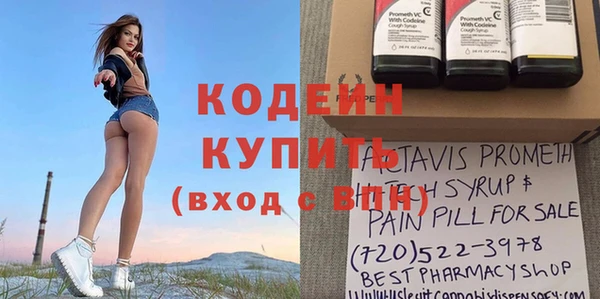 прущие грибы Абаза