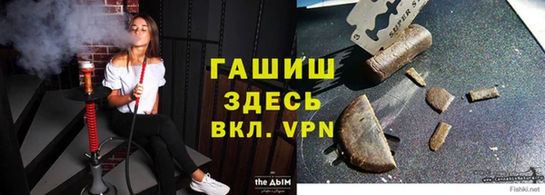 прущие грибы Абаза