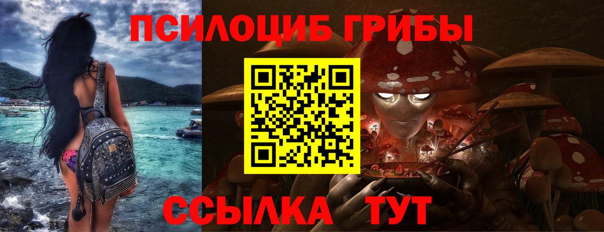 Курчатов  дарнет шоп  Вход с VPN  Псилоцибиновые грибы ЛСД  Псилоцибиновые грибы MAGIC MUSHROOMS 