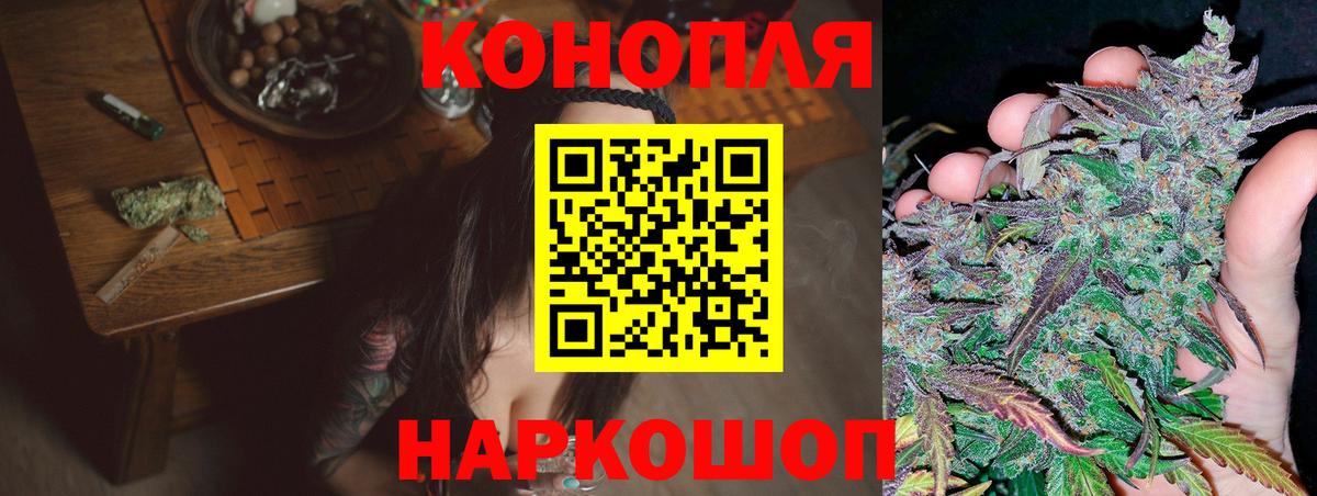 Бошки Шишки OG Kush  Вход с VPN  Курчатов  Марихуана сатива 